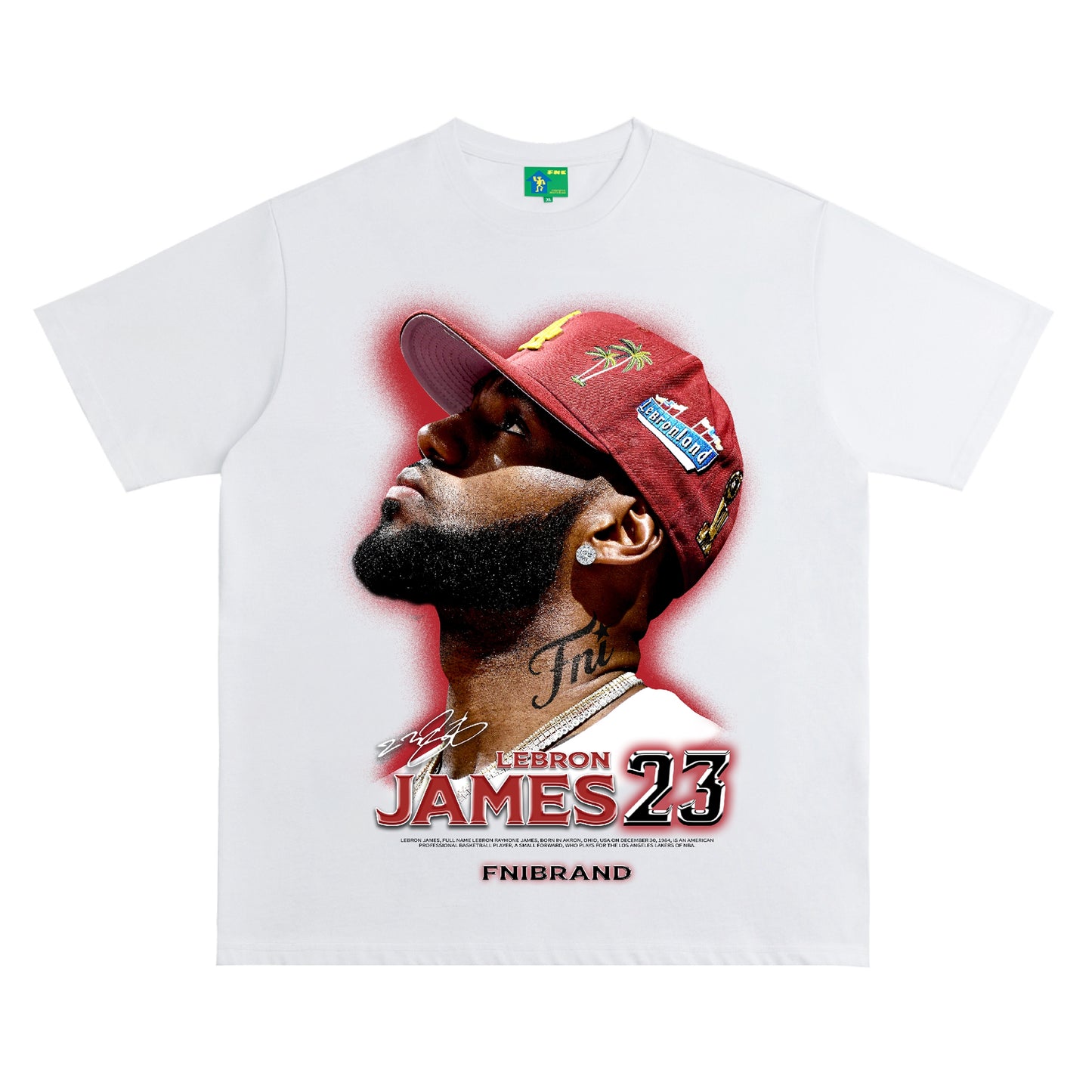 LeBron James 23